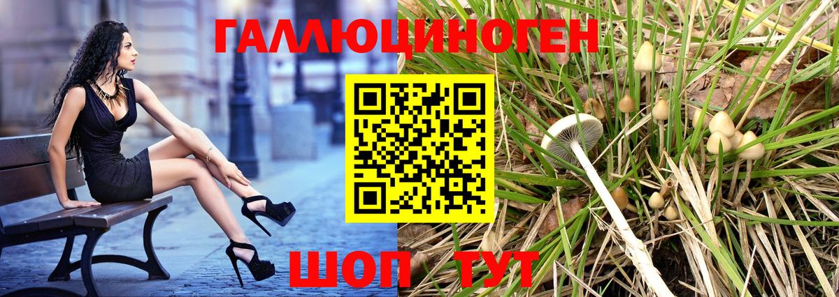 как найти закладки  Вход с VPN  Магнитогорск  Галлюциногенные грибы Magic Shrooms 