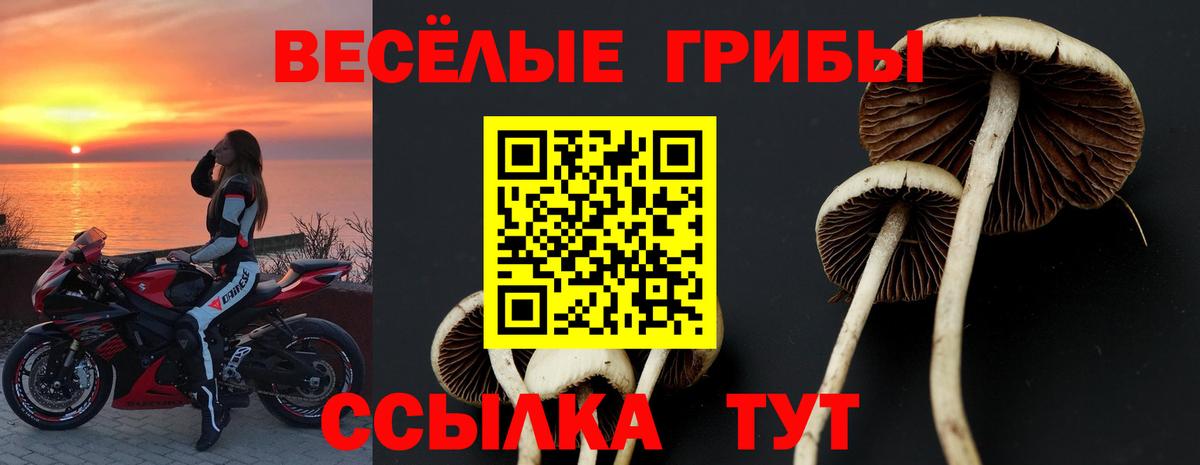 Галлюциногенные грибы мухоморы Магнитогорск